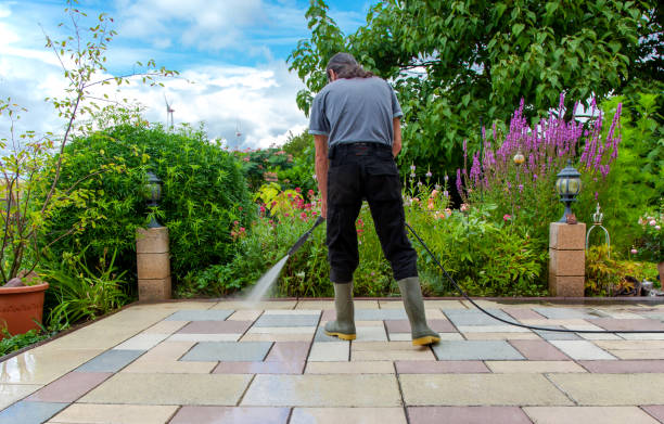 Best Winterizing Services  in Jacksonville, AR